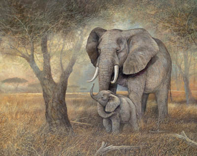 Постеры с животными слоны слон саванна текстурная бумага